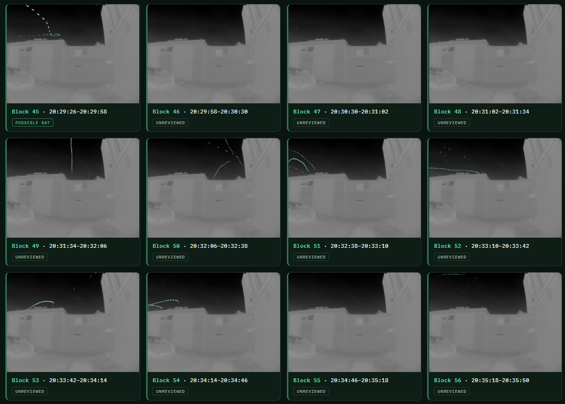 A grid of survey blocks in Roost, each a 32-second composite of the movement in the scene, several showing bat flight paths traced across it