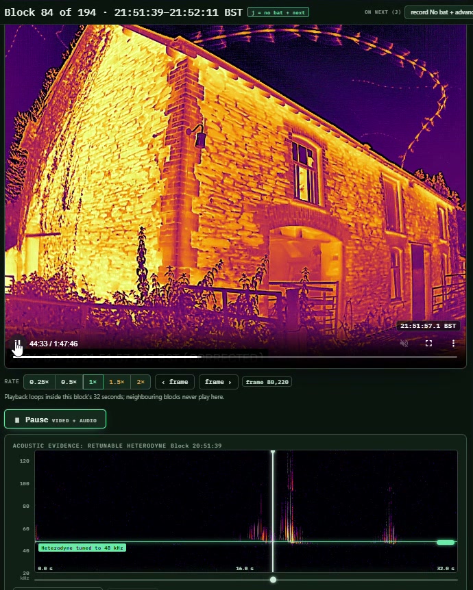 thermal movement and acoustic playback shown together